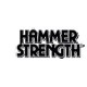 Hammer
