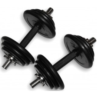 Гантели разборные Alex DB-01-31 Гантели разборные Alex DB-01-31