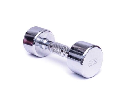 Гантель цельная HouseFit DB305-5 хром 5 кг