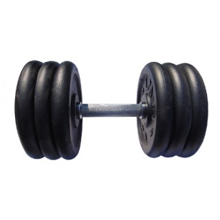 Гантель GoodLift стальная наборная 31.5 кг Гантель GoodLift стальная наборная 31.5 кг