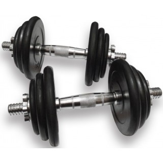 Гантели разборные Alex DB-02-31 Гантели разборные Alex DB-02-31