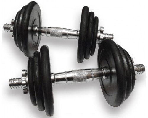 Гантели разборные Alex DB-02-21