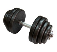 Гантель наборная Newt TI-968-745-31-1 Home 1х31,5 кг Гантель наборная Newt TI-968-745-31-1 Home 1х31,5 кг