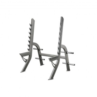 Стойка для приседаний Xline X 309